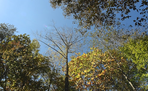 Hurricane Creek Park