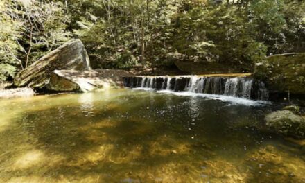 Check out the beauty of Hurricane Creek Park