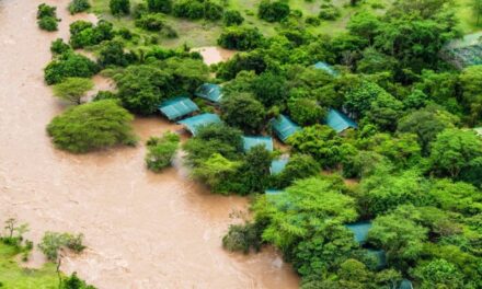 Kenya president postpones reopening of schools as flood-related deaths pass 200