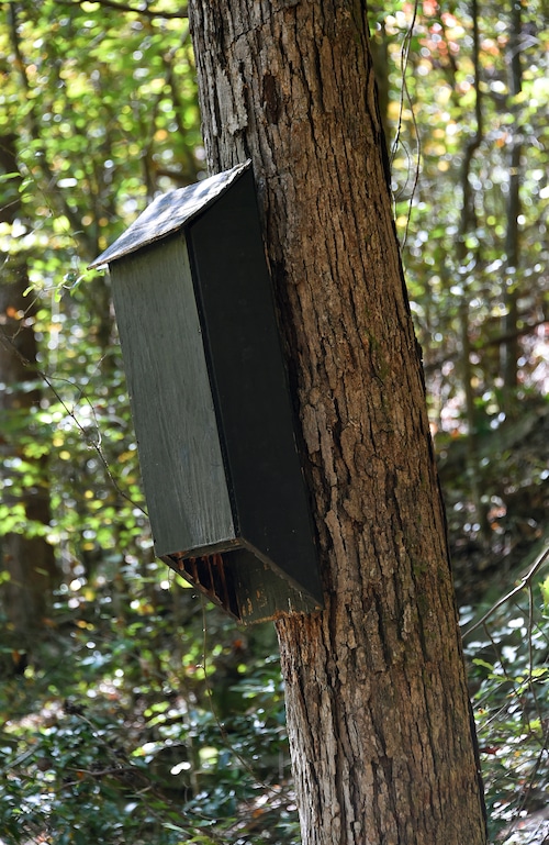 Hurricane Creek Park