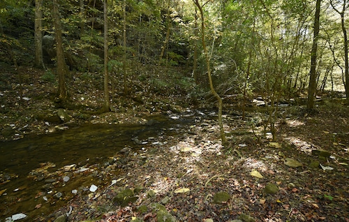 Hurricane Creek Park