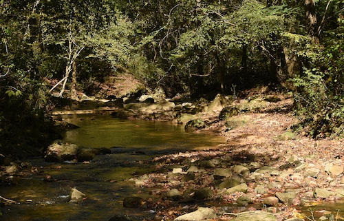 Hurricane Creek Park