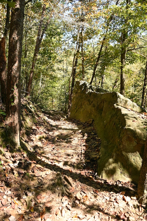 Hurricane Creek Park