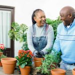 UAB Study: Vegetable Gardening can Improve Health Outcomes for Cancer Survivors