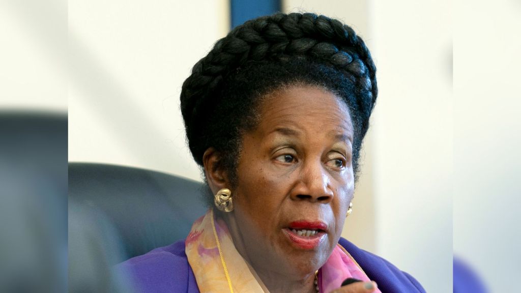 Rep. Sheila Jackson Lee speaks on cancer diagnosis amid run for re-election  