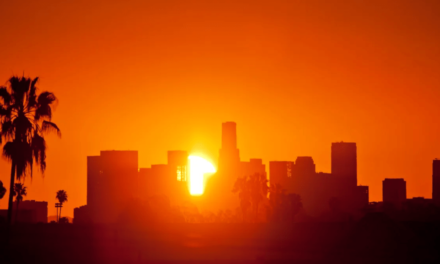 California Report Reveals Devastating Impacts of Extreme Heat on Marginalized Communities