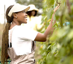 NEW AAMU, MADISON COUNTY COMMUNITY FARM GETS ITS NAME