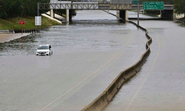 A Plan to Save Earth