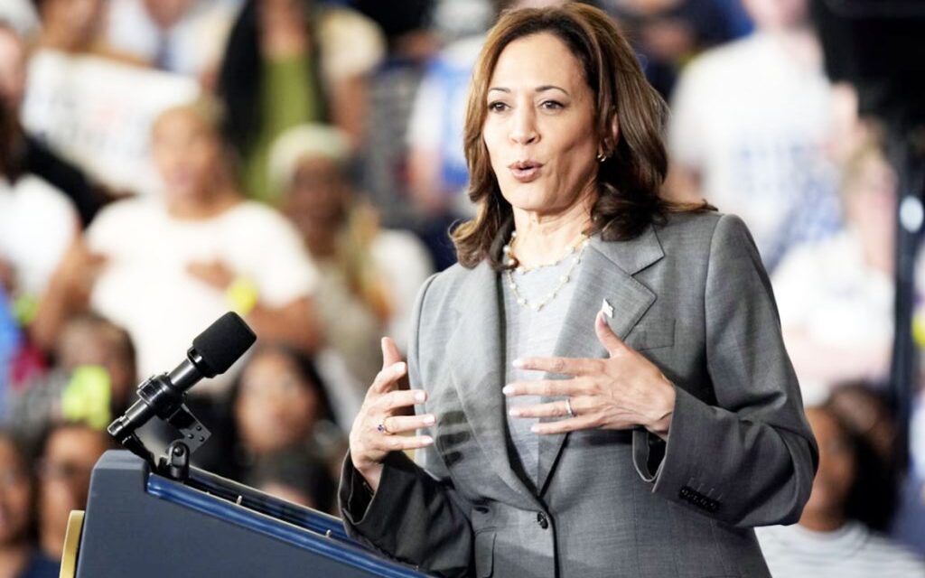 Kamala Harris VP pick: 8 possible vice presidential running mates