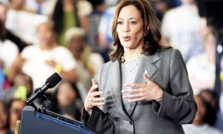 Kamala Harris VP pick: 8 possible vice presidential running mates