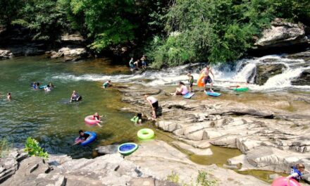 5 Alabama swimming holes to cool off at this summer