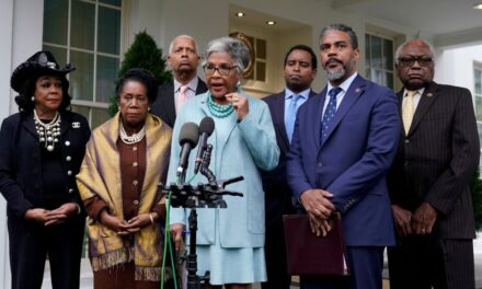 Congress talks about the important role Black media plays in society