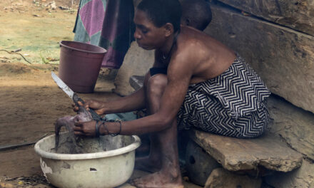 Lack of birth certificates puts Cameroon’s Indigenous people on the brink of statelessness