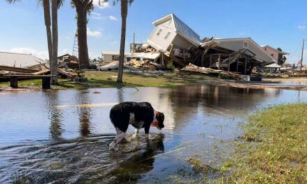 Hurricane Helene kills at least 44 and cuts a swath of destruction across the Southeast