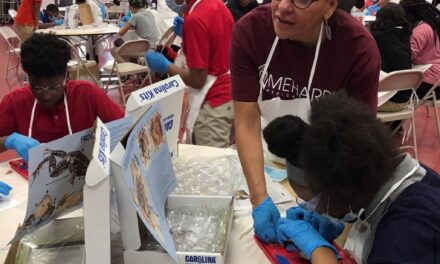 Meharry Medical College partners with local middle and high schools for hands-on science experience