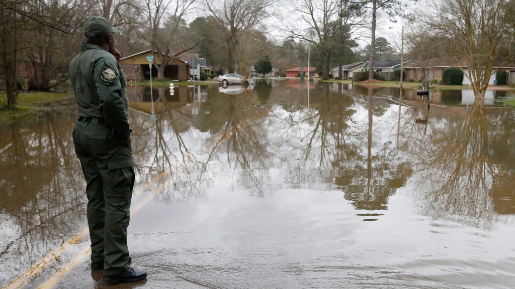 Summer 2024: From weather extremes to solutions