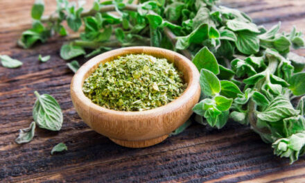 6 Ways Oregano is Rich in Healing Properties