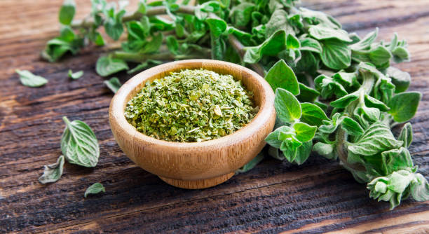 6 Ways Oregano is Rich in Healing Properties