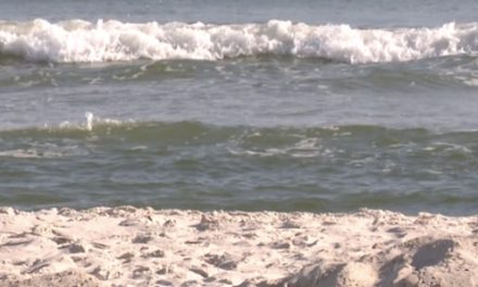 Grandfather drowns trying to rescue 5-year-old grandson on Dauphin Island; child saved by older brother