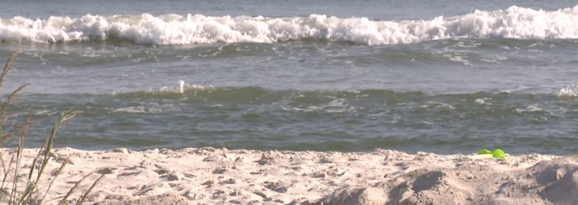 Grandfather drowns trying to rescue 5-year-old grandson on Dauphin Island; child saved by older brother