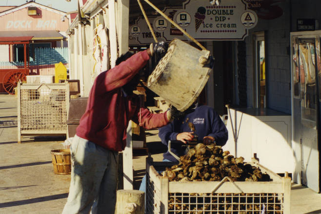 From the Bay to the table: Black crabbing history in Maryland