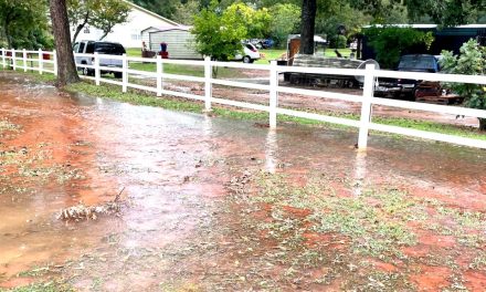 Black residents say Alabama highway project caused flooding, damaged homes: ‘We need you to fix it’