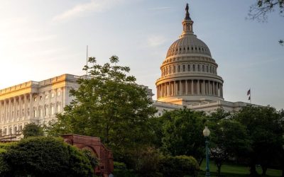 7 new African American lawmakers join Congress, strengthening diversity and representation 