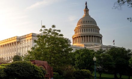 7 new African American lawmakers join Congress, strengthening diversity and representation 