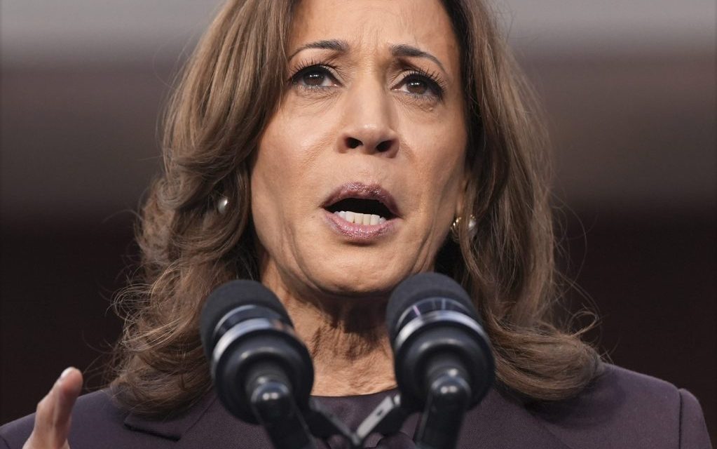 Vice President Kamala Harris delivers concession speech