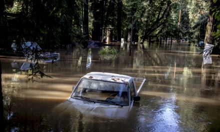 Forecasts warn of possible winter storms across US during Thanksgiving week