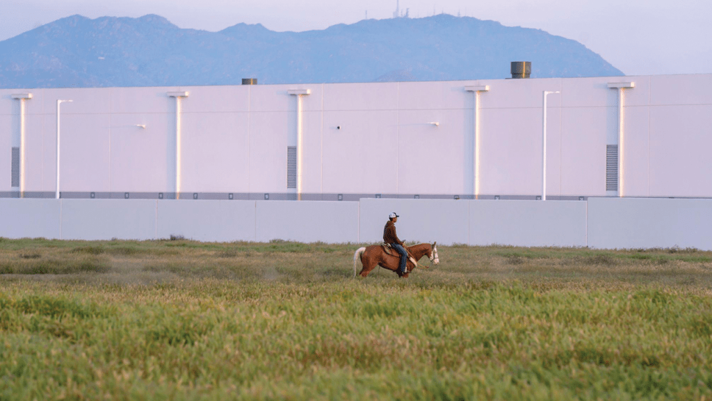 2024: A Year in Photos