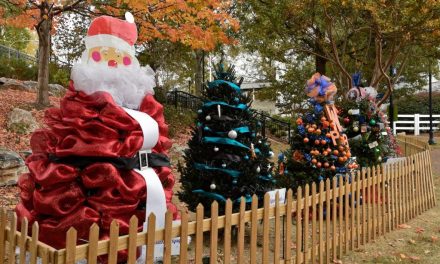 Alabama ranked No. 3 for states ‘most obsessed with Christmas’: See who beat us