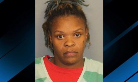 Alabama mom accused of abducting 3 kids at Virginia bus stop captured near Birmingham after brief chase