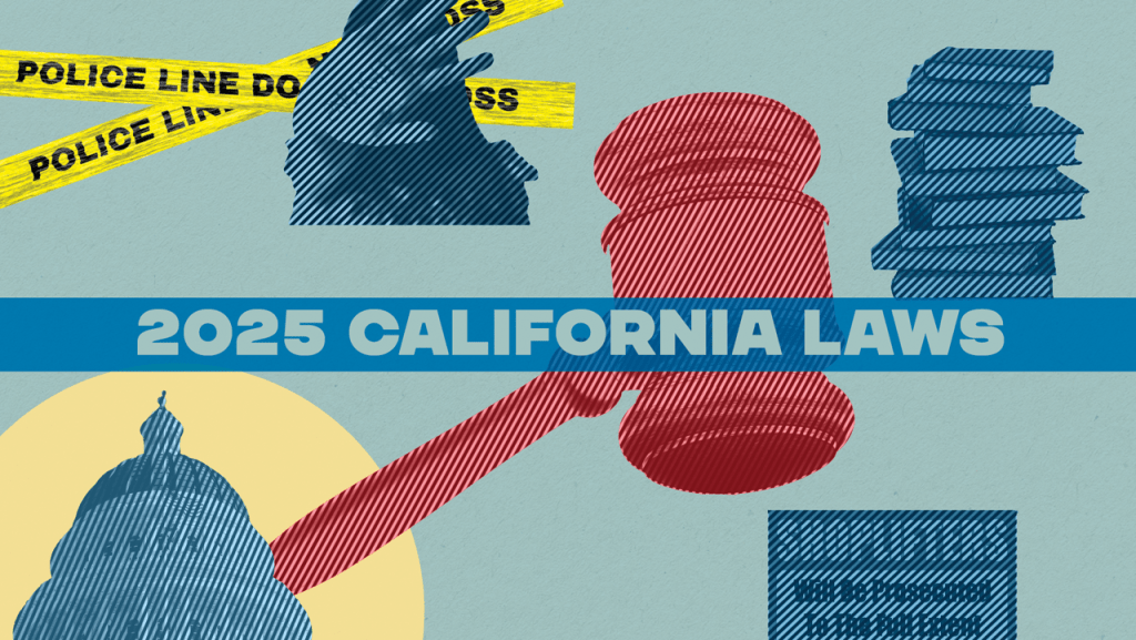 New Laws Take Effect in California, including Support for Domestic Abuse Survivors and Education