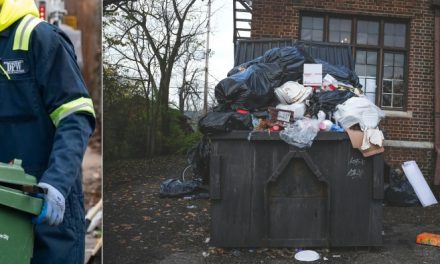 Baltimore DPW workers speak out on poor conditions: ‘They care more about trash than they care about us’