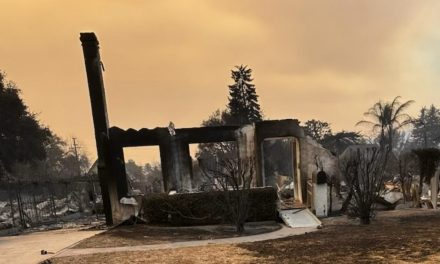 The road to recovery: Altadena families struggle to rebuild after devastating wildfires