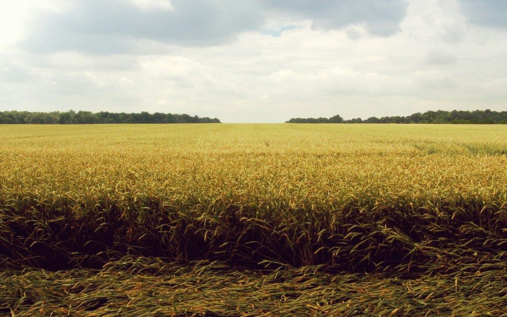 NFL Players Coalition draws attention to Black families’ loss of farmland