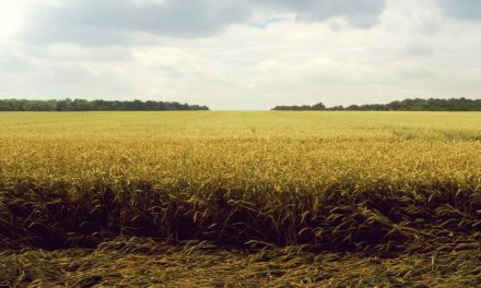 NFL Players Coalition draws attention to Black families’ loss of farmland