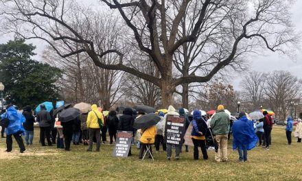 Faith coalition protests outside U.S. Capitol, demands Congress defend Constitution