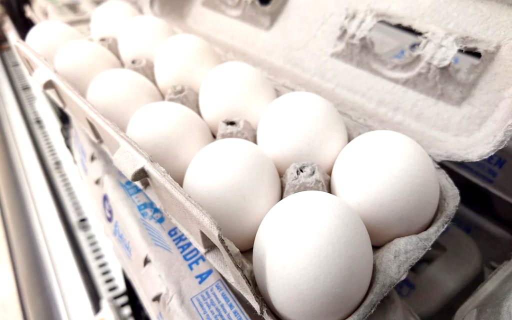 Alabama farm struggles to meet egg demands after not qualifying for USDA funding to replace flock