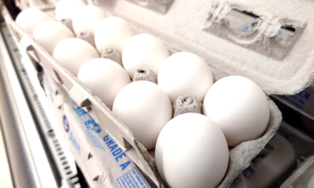 Alabama farm struggles to meet egg demands after not qualifying for USDA funding to replace flock