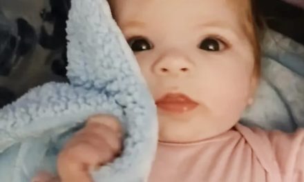 6-month-old girl killed in dog attack at Alabaster home