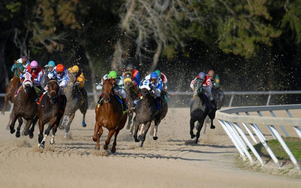 Maryland first lady Dawn Moore announces inaugural Preakness Festival