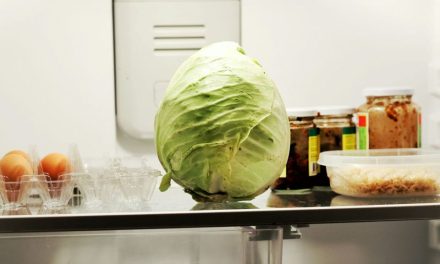 GOP votes to cut Medicaid and SNAP, feed billionaires