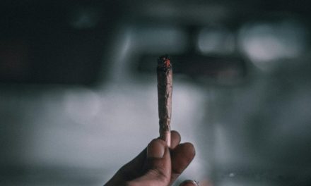 Beyond the high: Diving into Maryland’s cannabis data