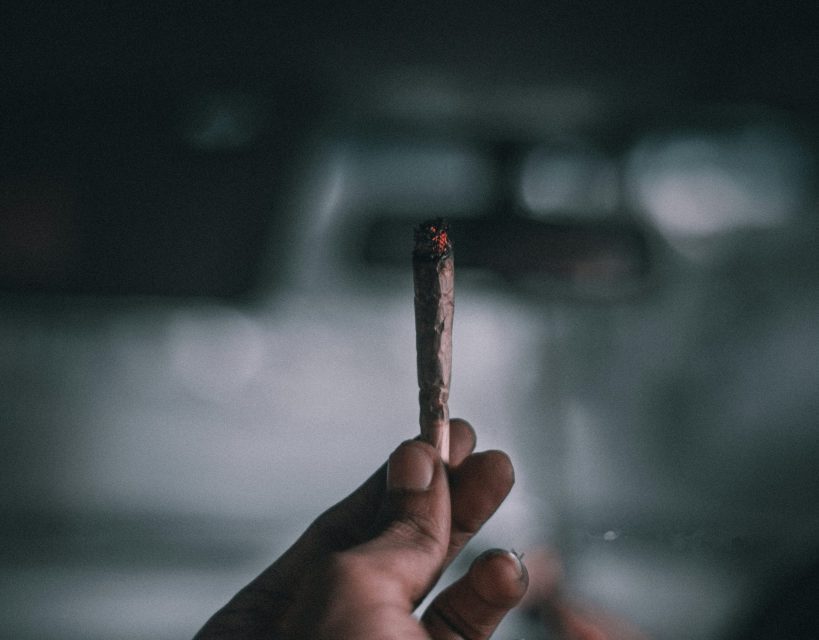 Beyond the high: Diving into Maryland’s cannabis data