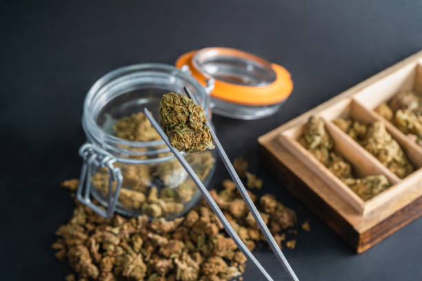 Does Marijuana Use Increase Alzheimer’s Risk?