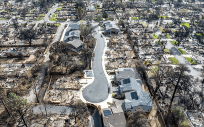 Disaster Loan Program for Fire-Impacted Small Businesses in the Altadena Burn Area