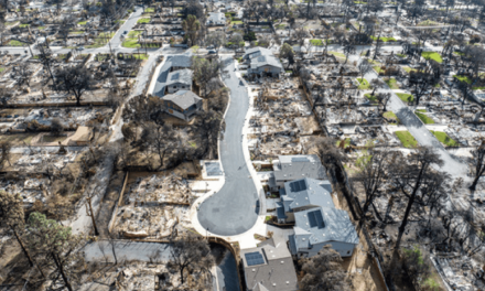 Disaster Loan Program for Fire-Impacted Small Businesses in the Altadena Burn Area