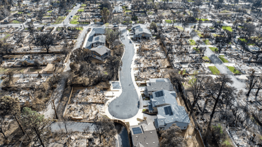 Disaster Loan Program for Fire-Impacted Small Businesses in the Altadena Burn Area